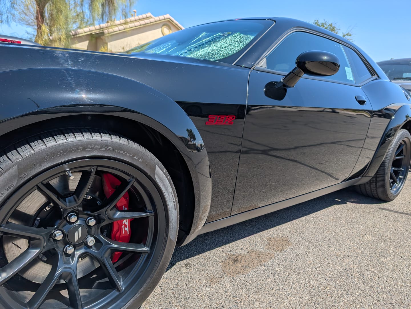 Customer photo review of "Challenger Shakedown 392" Themed 3pc or 5pc Emblem set