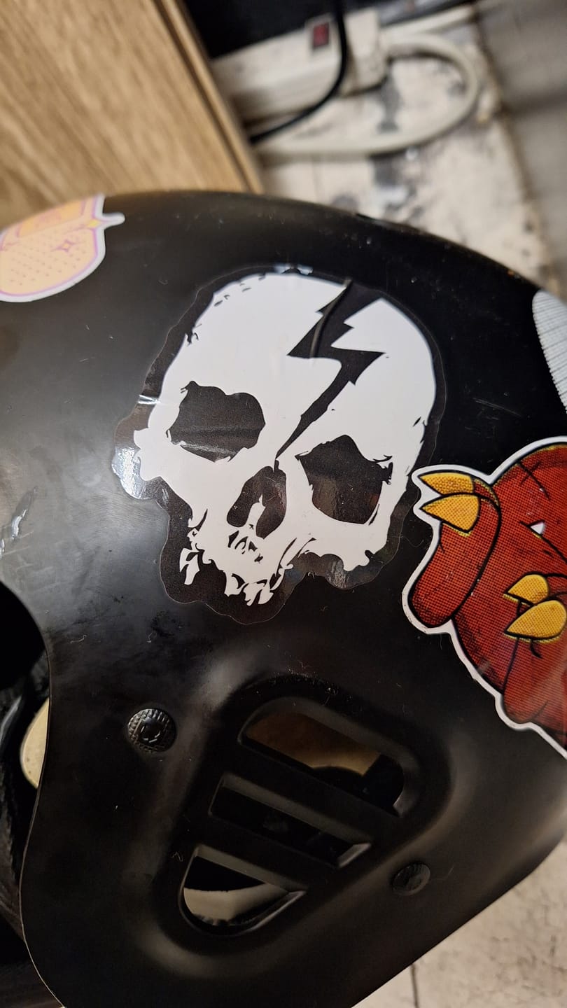 Customer photo review of SKULL LOGO STICKER