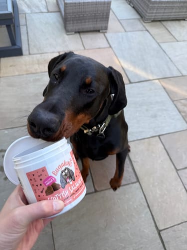 Customer photo review of Scottish Salmon Oil Supplement Chews for Dogs