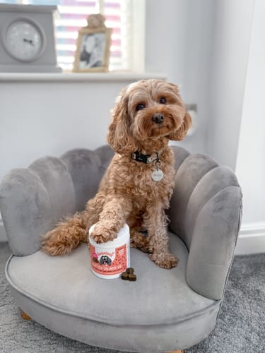 Customer photo review of Scottish Salmon Oil Supplement Chews for Dogs