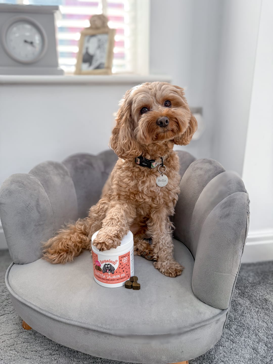 Customer photo review of Scottish Salmon Oil Supplement Chews for Dogs
