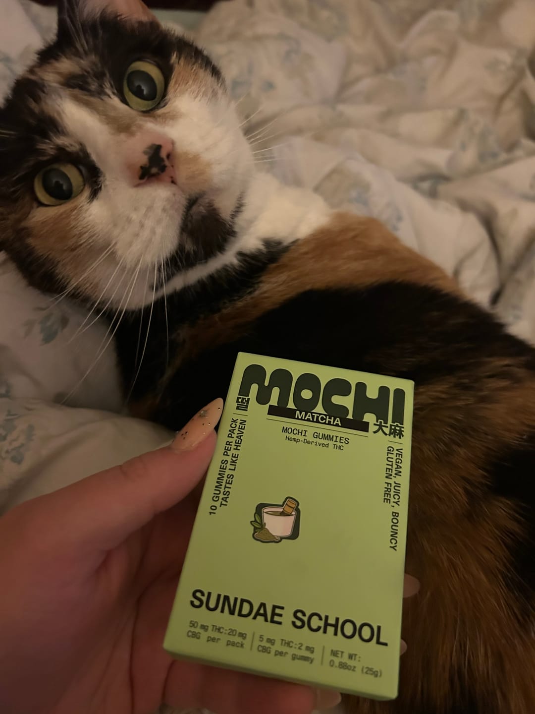 Customer photo review of Matcha