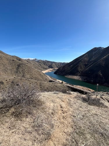 Customer photo review of Custom Paint By Numbers Kit - Upload Your Photo - Brush Set Included