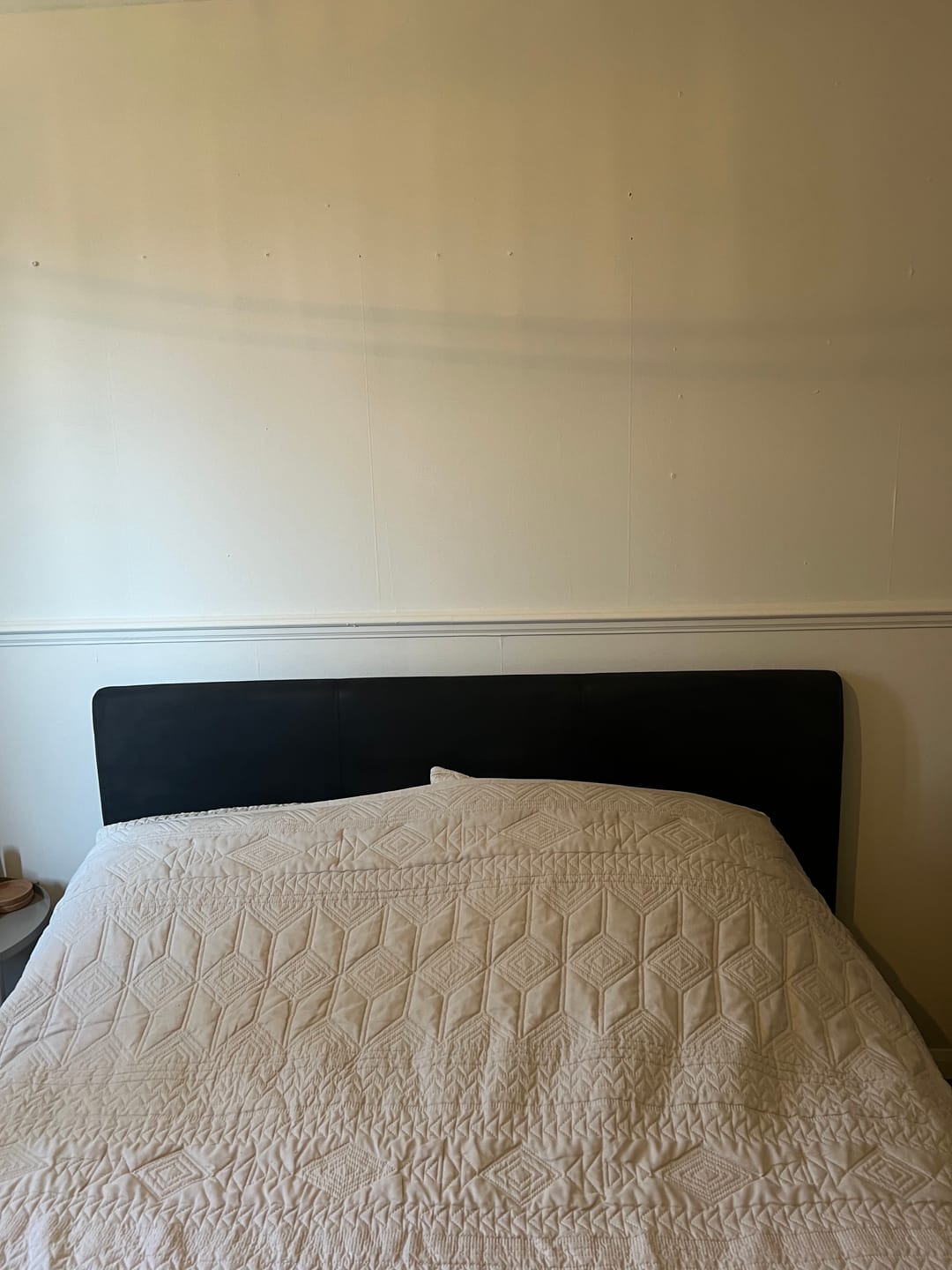 Customer photo review of Fabric Paint -- Black