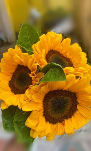 Customer photo review of Sunflowers