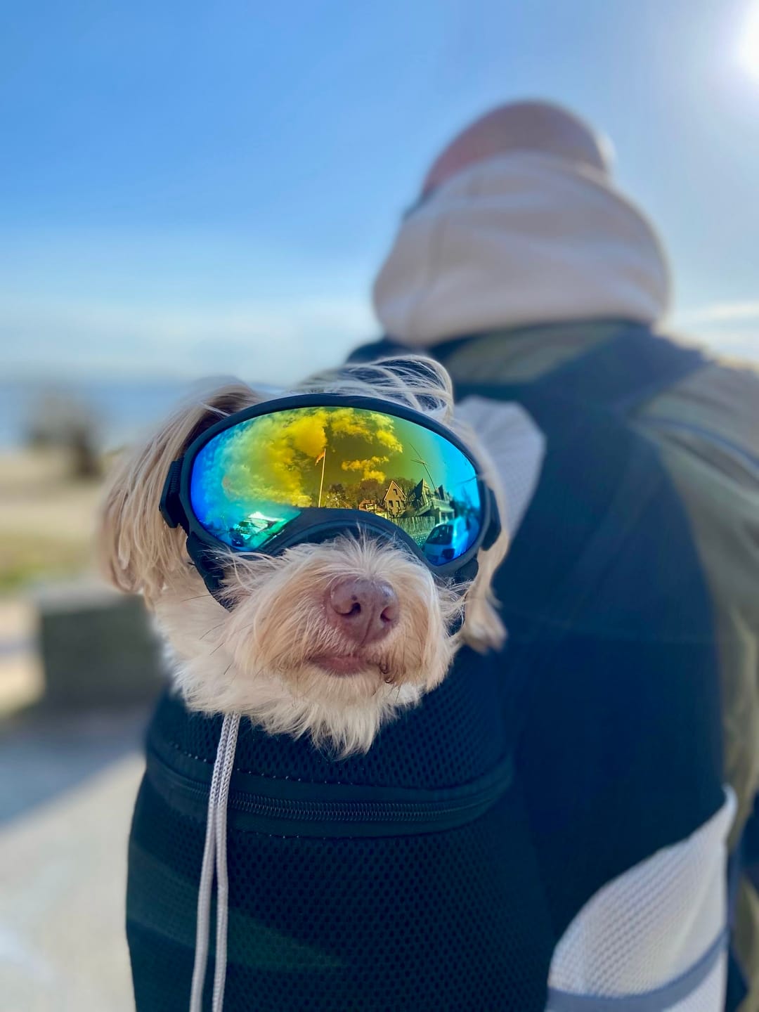 Customer photo review of Emmalove - Hunde-Rucksack