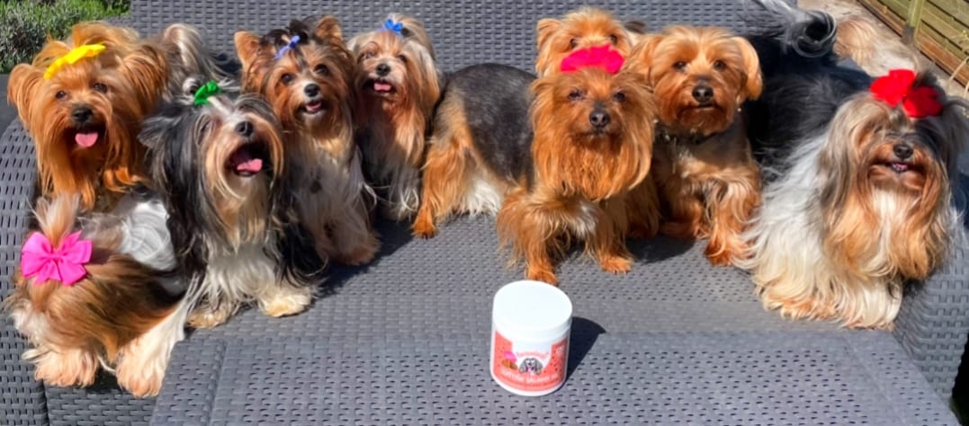Customer photo review of Scottish Salmon Oil Supplement Chews for Dogs