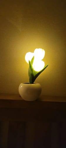 Customer photo review of Tulip Flower LED Night Light - Perfect Gift for Kids and Girls