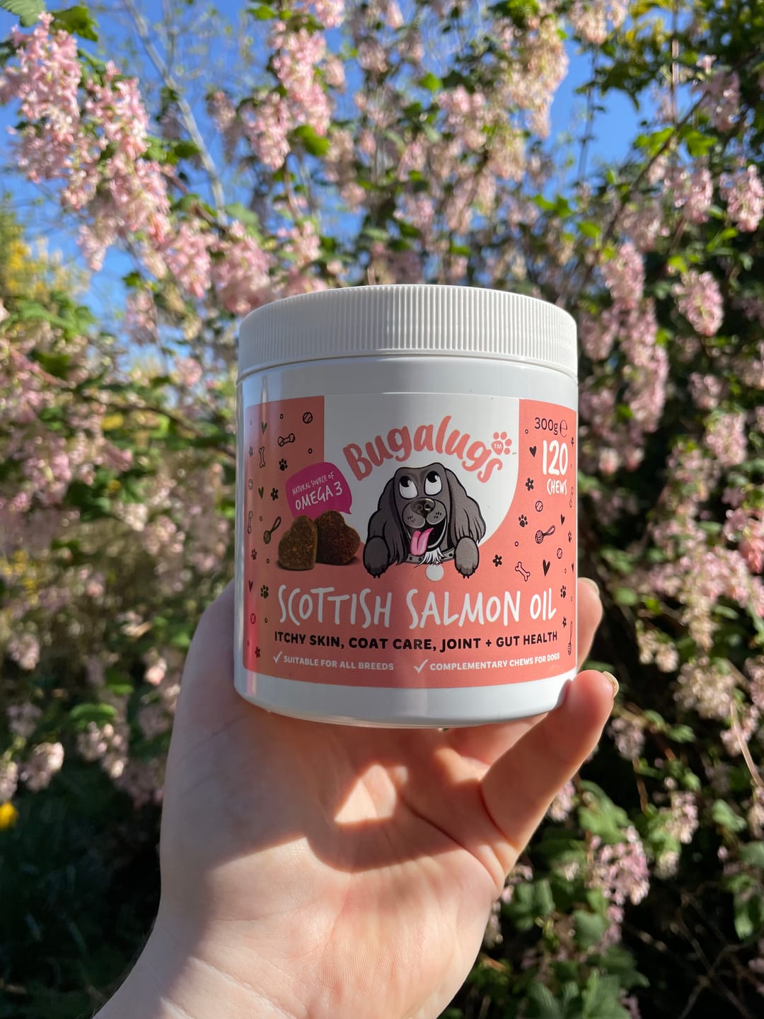 Customer photo review of Scottish Salmon Oil Supplement Chews for Dogs