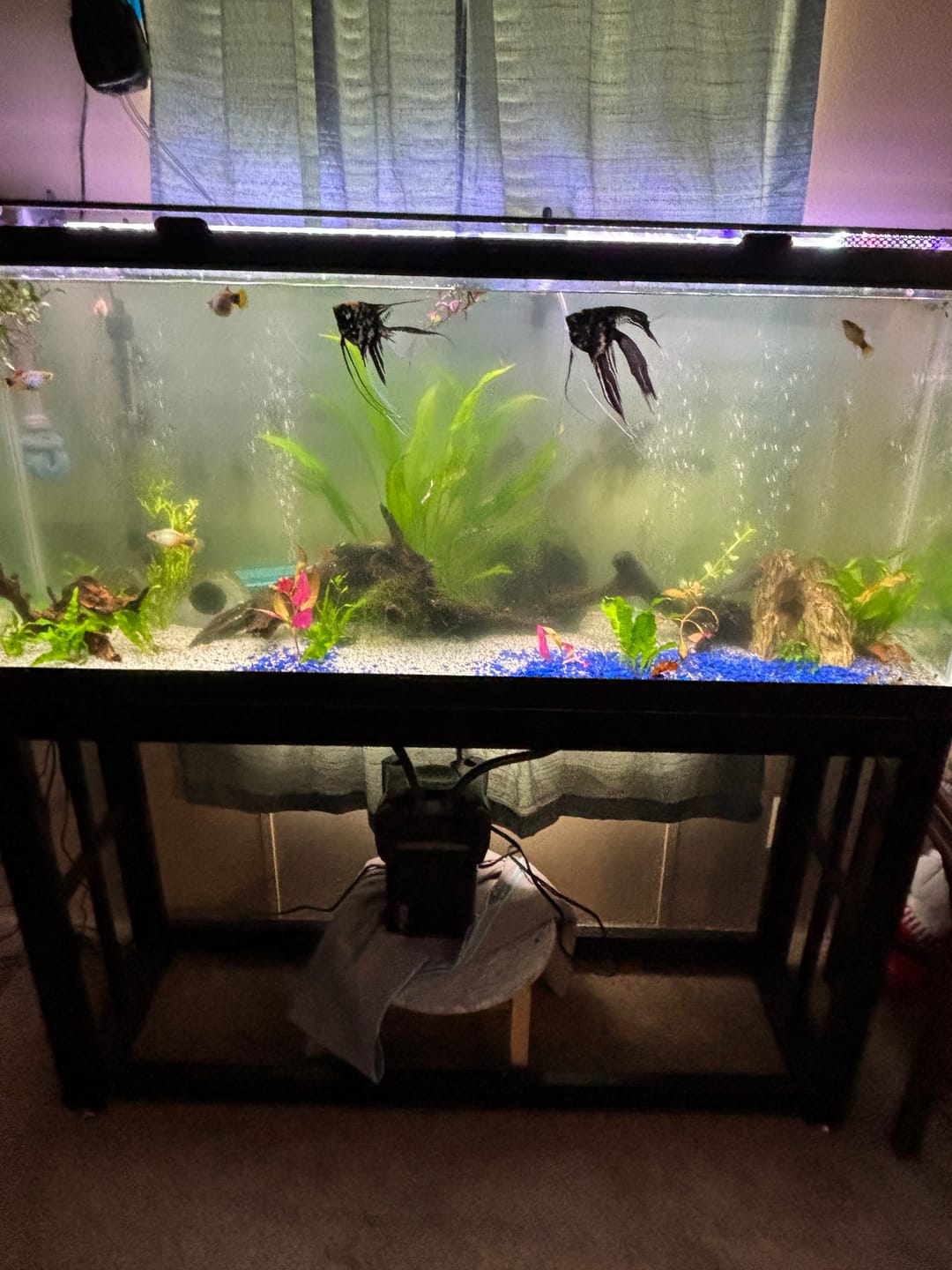 Customer photo review of Fritz COMPLETE Water Conditioner