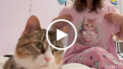 Customer video review of Alpha Male T-Shirt