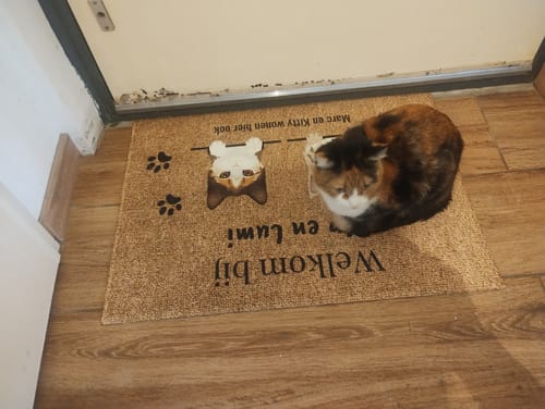 Customer photo review of Welkom bij - Gepersonaliseerde huisdier deurmat