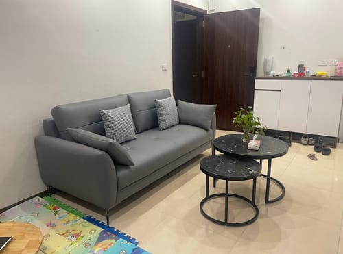 Customer photo review of Mẫu ghế  sofa da hiện đại 2 chỗ tựa liền MELLY