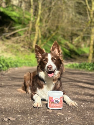 Customer photo review of Scottish Salmon Oil Supplement Chews for Dogs