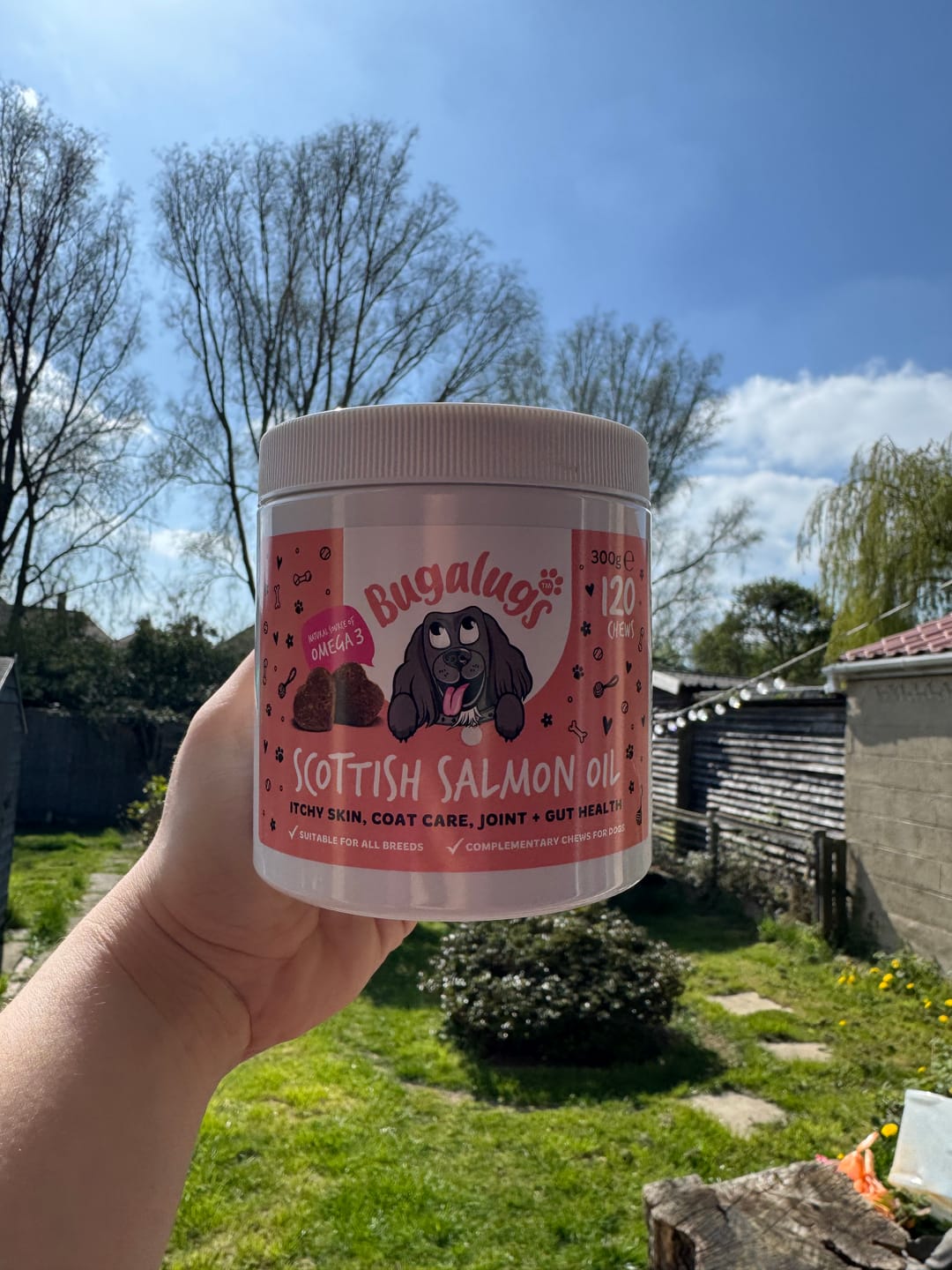 Customer photo review of Scottish Salmon Oil Supplement Chews for Dogs