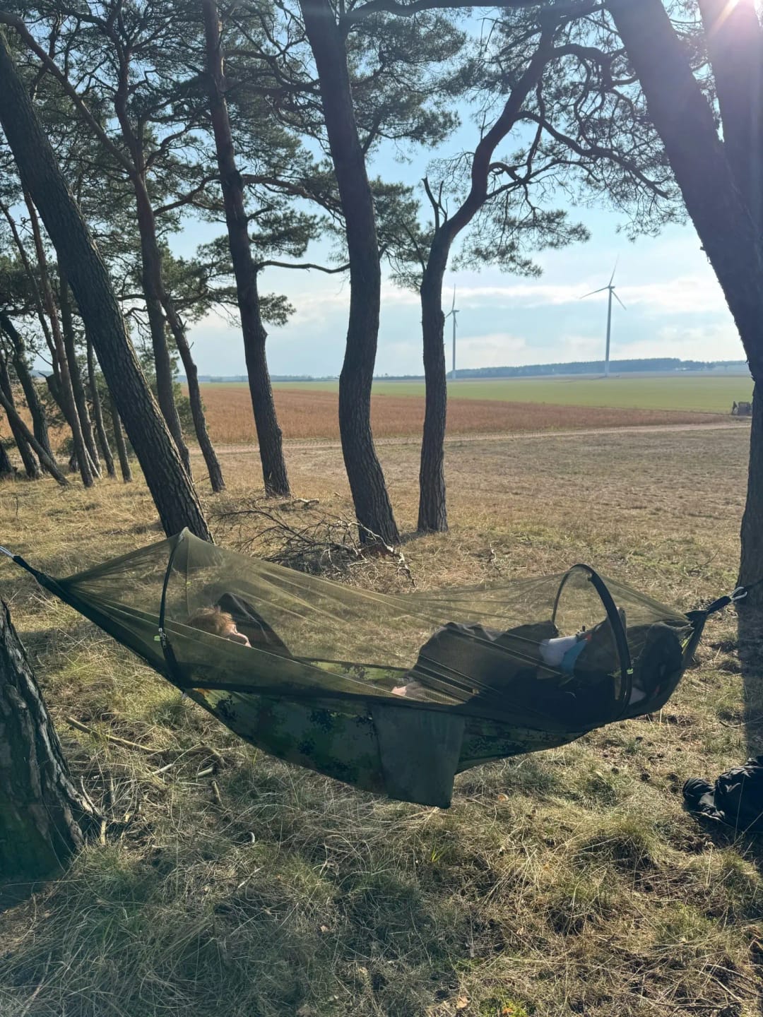Customer photo review of Camping-Hängematte mit Moskitonetz