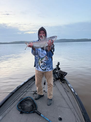 Customer photo review of Largemouth Bass fishing Custom UV protection fishing long sleeve shirt, Bass Fishing jerseys | Blue NQS9351