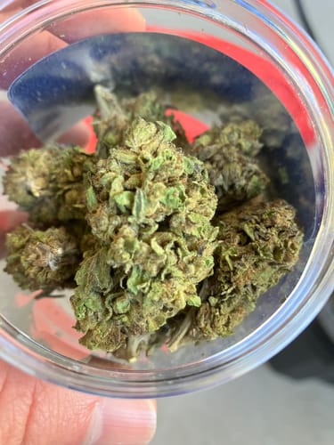 Customer photo review of Platform Purple