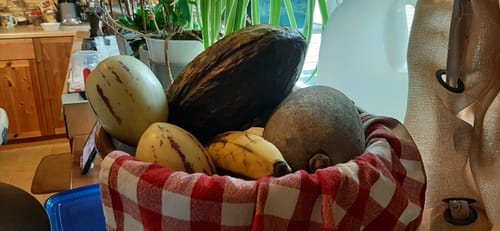 Customer photo review of Tropical Variety Box