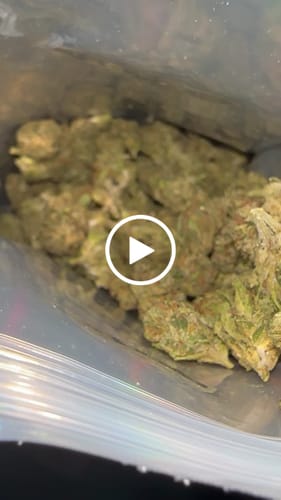 Customer video review of Cookies and Cream - 28 Grams Littles - Hybrid