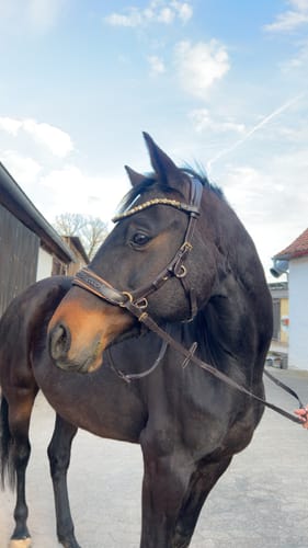 Customer photo review of Midnight Supreme - nur noch wenige auf Lager !