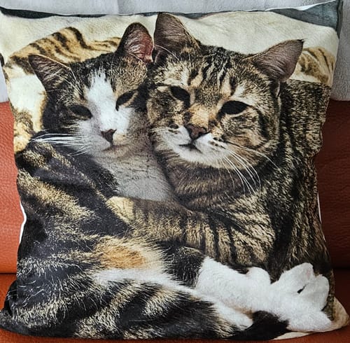 Irmtraud T. review of Fotokissen - Individuelles Kissen image 1 out of 2