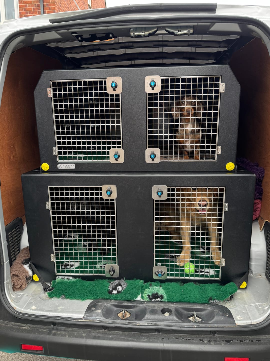 Customer photo review of Dog Van Kit | Nissan e-NV200 | 2014-Present | Double stack | DT VS1