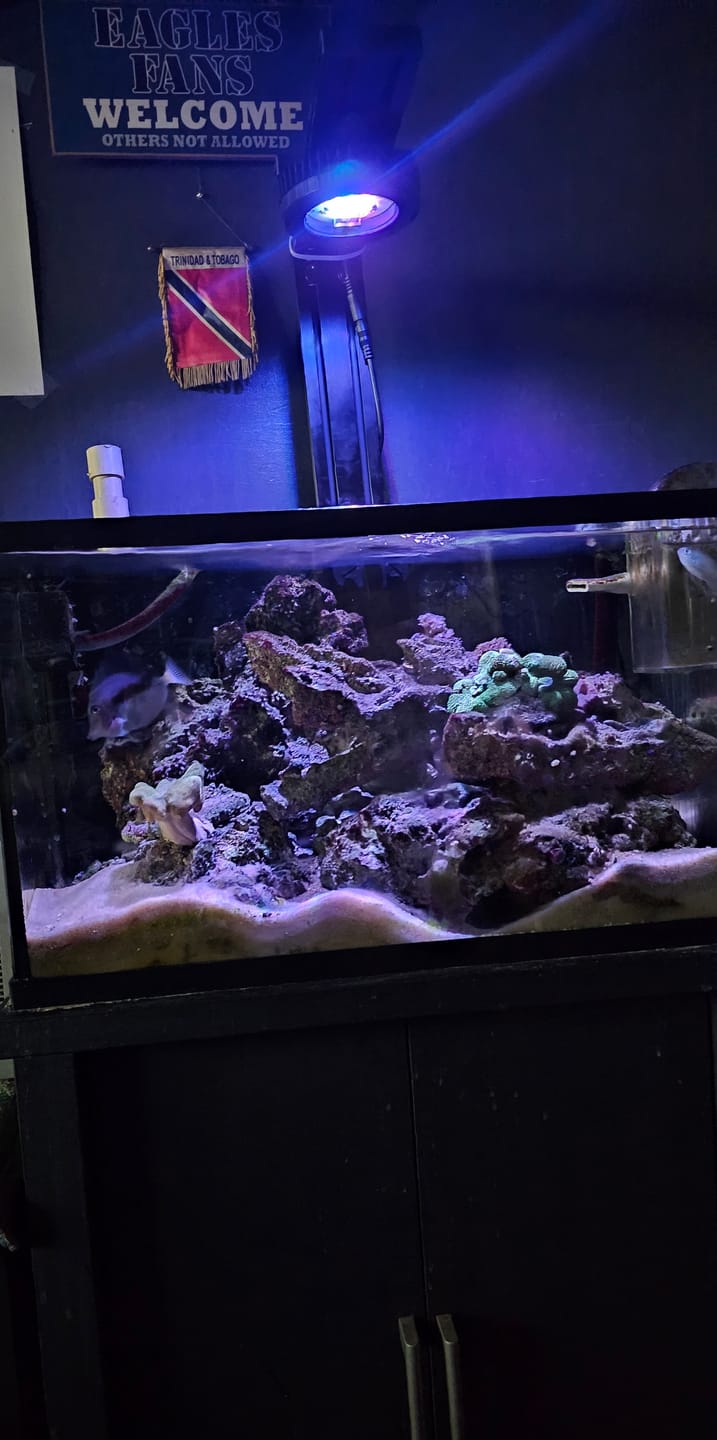 Customer photo review of Pixel LED Bundle