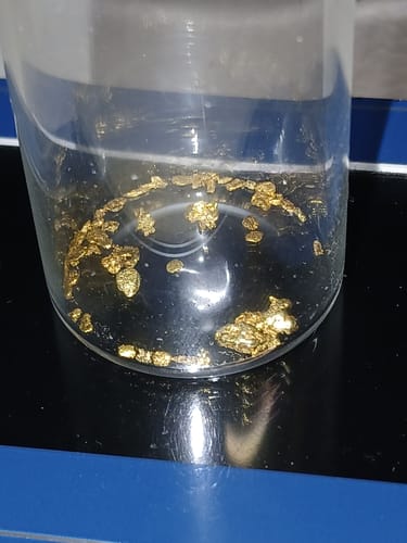 Customer photo review of Nugget Fever - Gold Panning Paydirt
