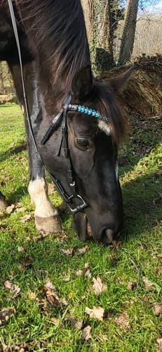 Customer photo review of Iris browband