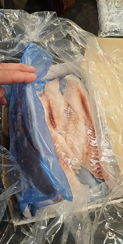 Customer photo review of 5KG Snapper Fillets (Skinned and Boned) Frozen