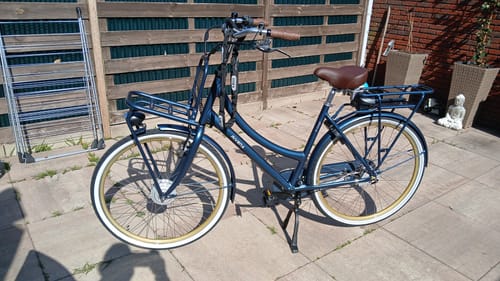 Customer photo review of E-Cargo N3