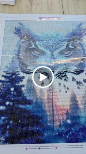 Customer video review of 5D Diamond Painting AB Steine Natur Eule