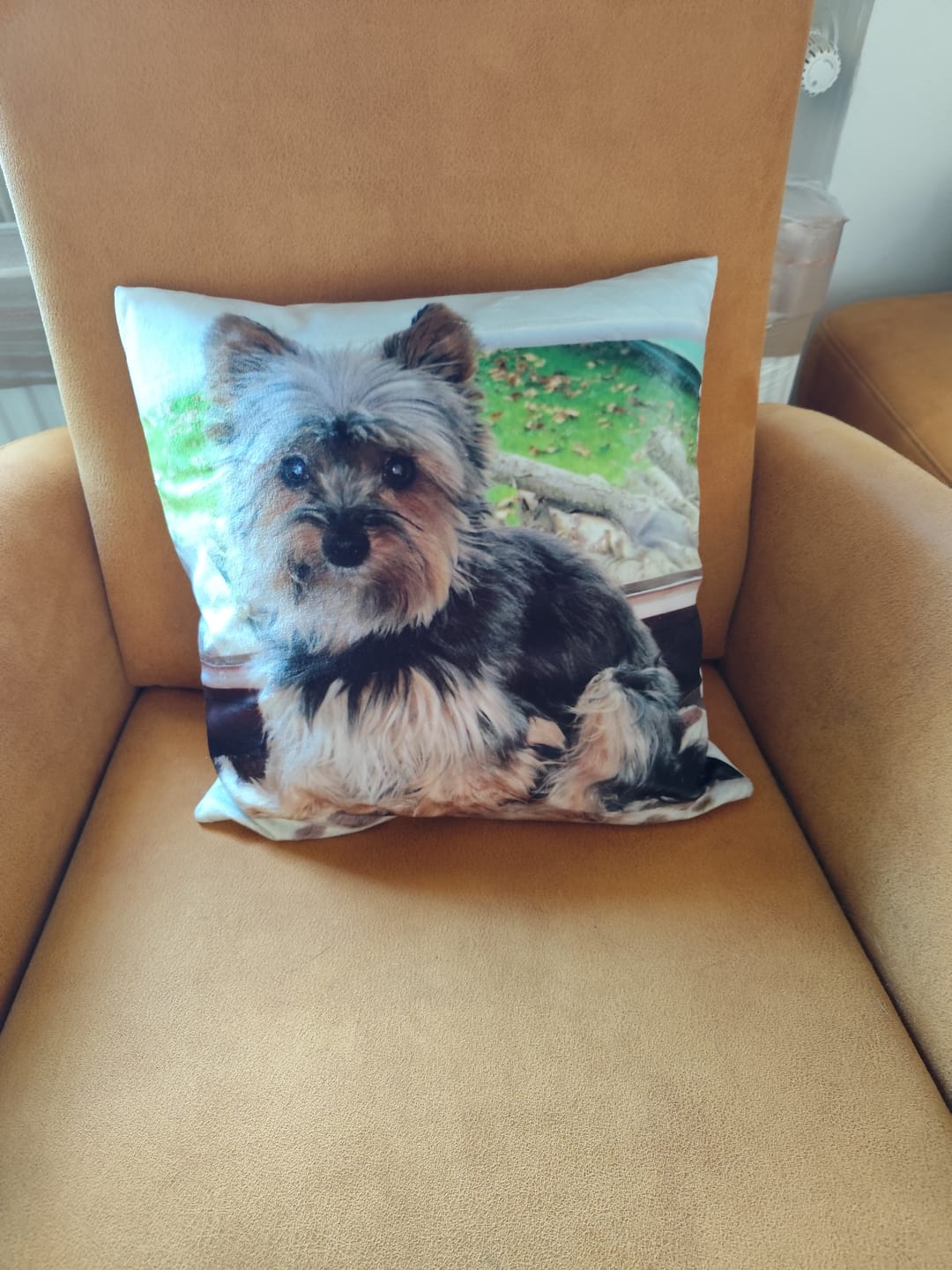 Customer photo review of Fotokissen - Individuelles Kissen