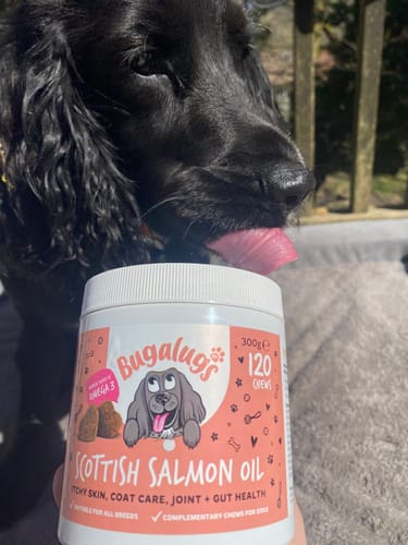 Customer photo review of Scottish Salmon Oil Supplement Chews for Dogs