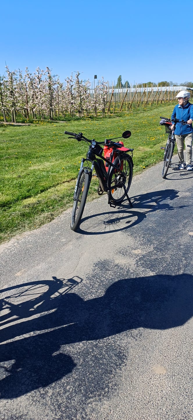 Customer photo review of NextBag 3in1 Fahrradtasche - dein Begleiter für den Alltag