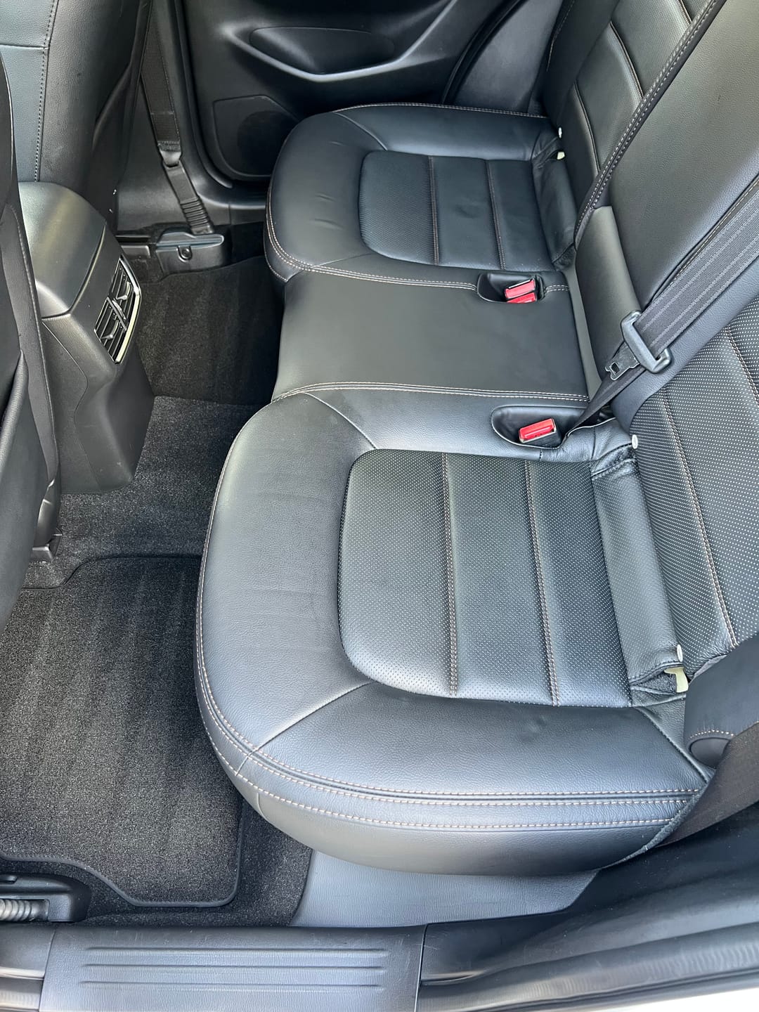Customer photo review of Cruise - Gallon