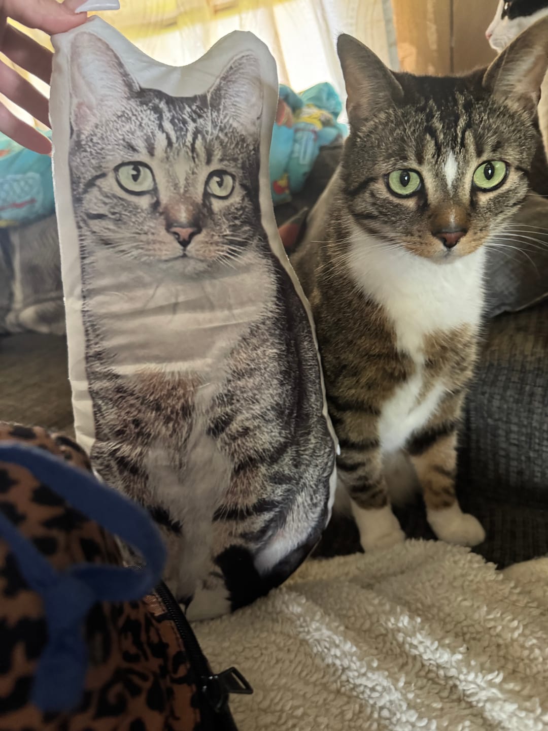 Customer photo review of Custom Shaped Pillow with Loved One Picture of Person/Pet Personalized 3d Photo Pillow