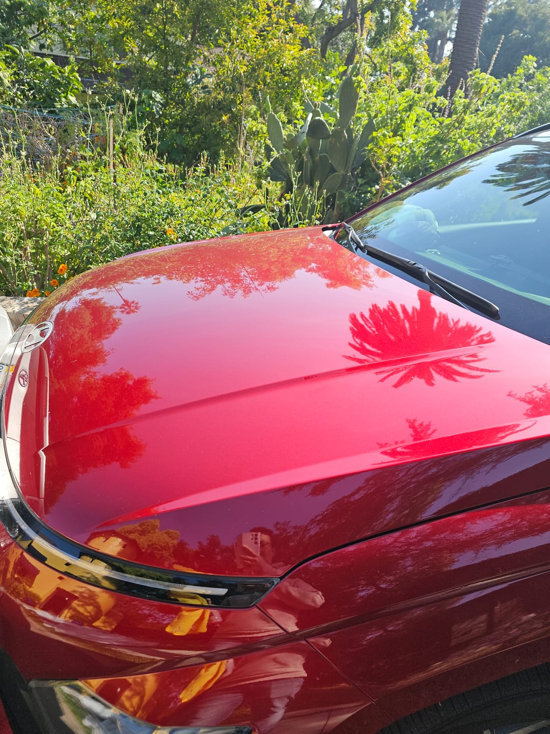 Customer photo review of +Soap Detail Spray & Wax