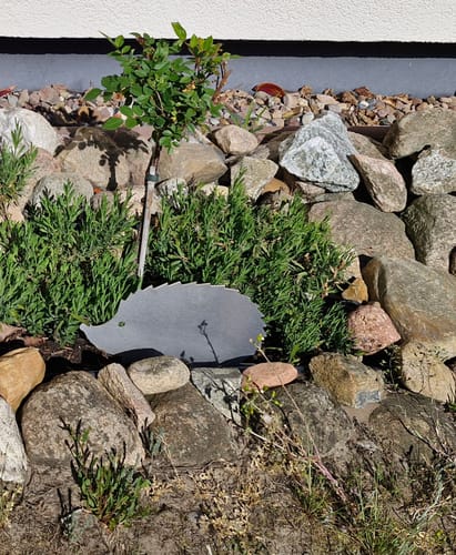 Customer photo review of Gartenstecker Igel