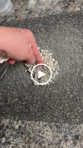 Customer video review of Non Detect Mushrooms - 50% Off