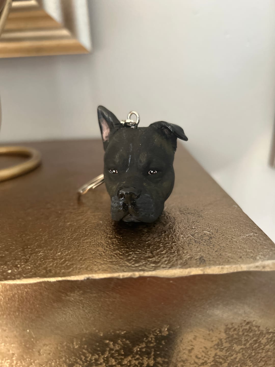 Customer photo review of Custom Pet Keychain/Magnet