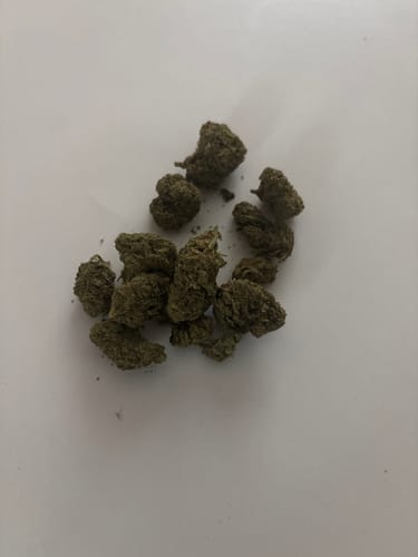 Customer photo review of Shipping Protection by Route