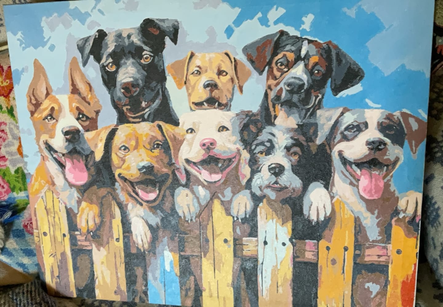 Customer photo review of Dog Days of Summer