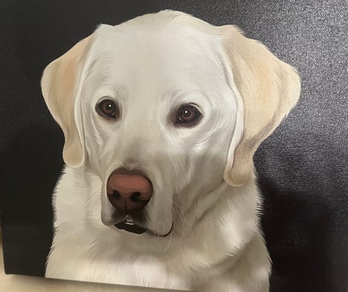 Customer photo review of Pet Art Canvas Wrap