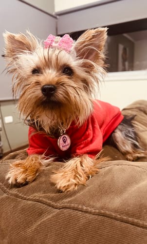 Customer photo review of Placa Rosada Flores