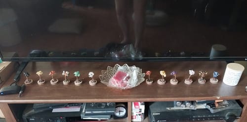 Customer photo review of 12 Crystal Trees: Beautiful Decor with Powerful Energy for Healing, Balance & Abundance