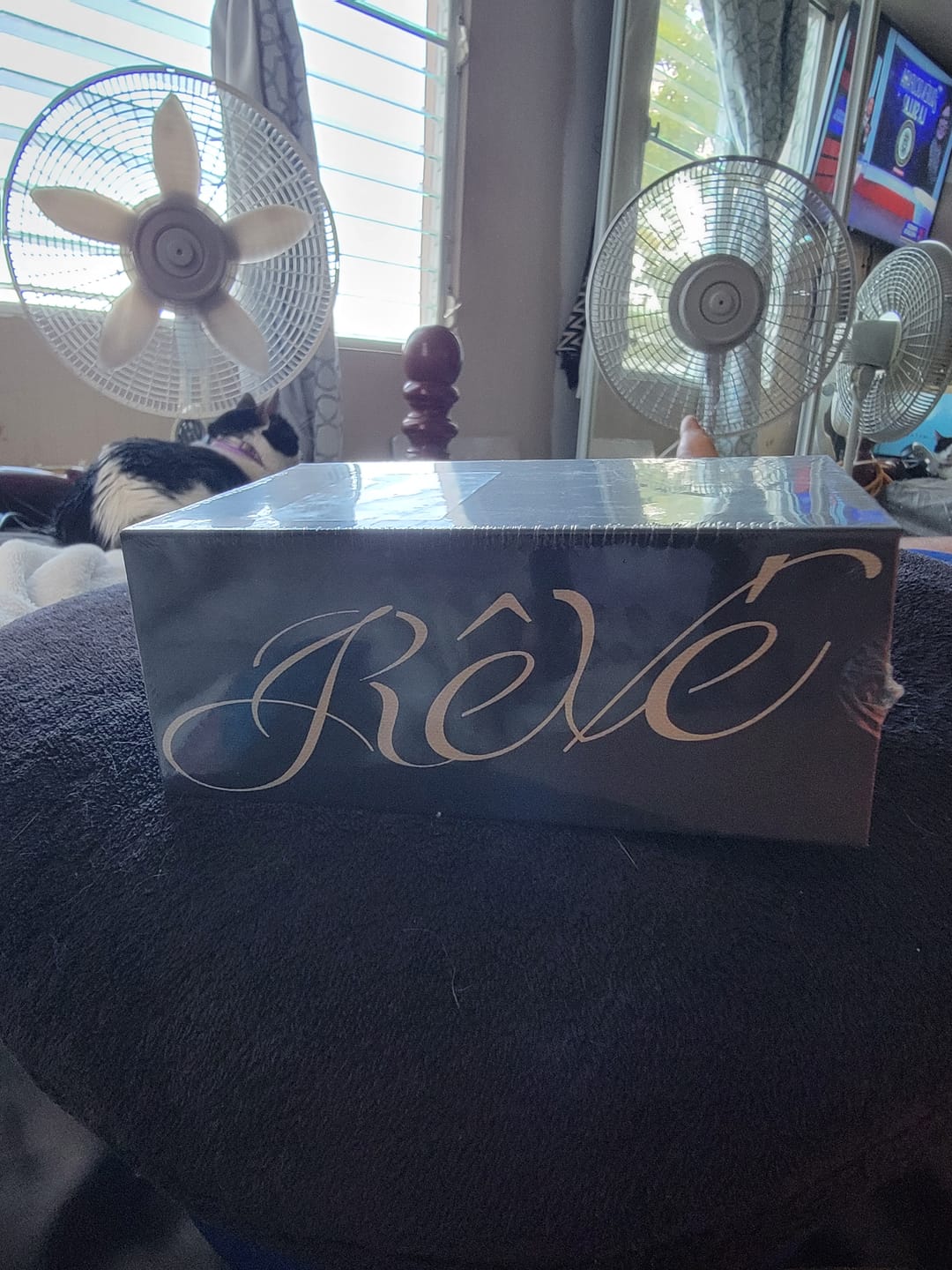 Customer photo review of BTS V - REVE PHOTOBOOK