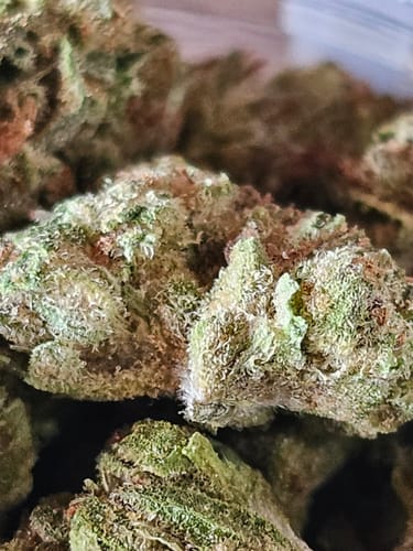 Customer photo review of Gorilla Glue THCA Flower