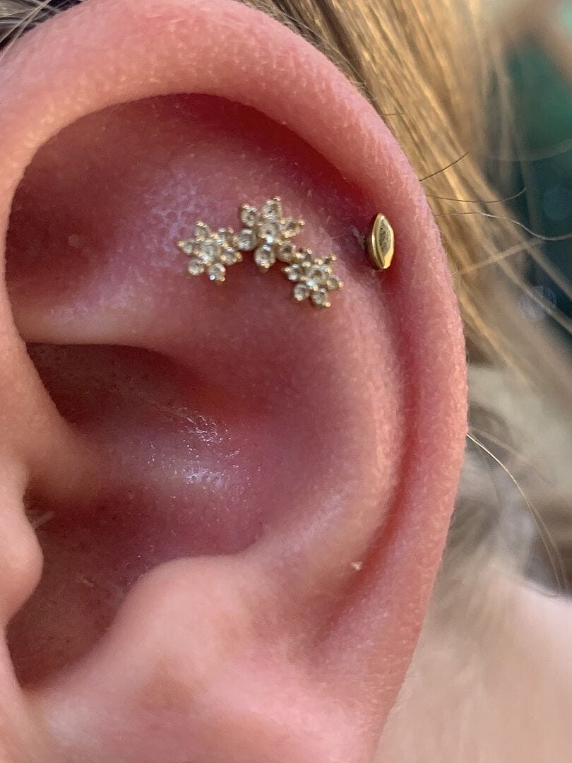Customer photo review of 14K Gold Internally Threaded Triple Flower Labret Piercing 18G16G